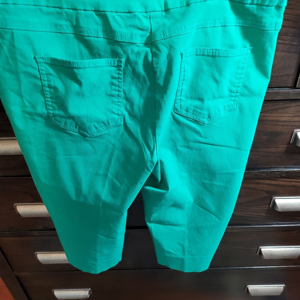 Ruby Red Slacks - Picture 4 of 4